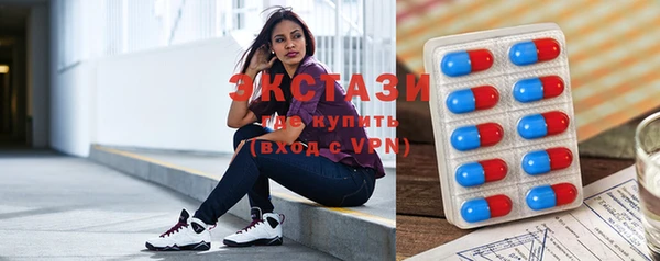 молекула духа Богородицк