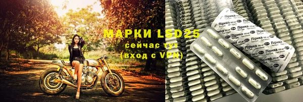 ГАЛЛЮЦИНОГЕННЫЕ ГРИБЫ Баксан