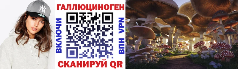 mega зеркало Иноземцево Псилоцибиновые грибы Magic Shrooms