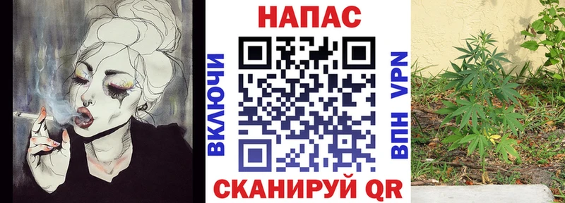 Шишки марихуана планчик  mega   Иноземцево 